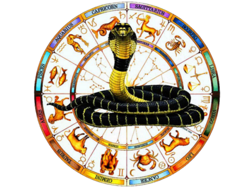 Kaal Sarp Dosh Puja in Ujjain